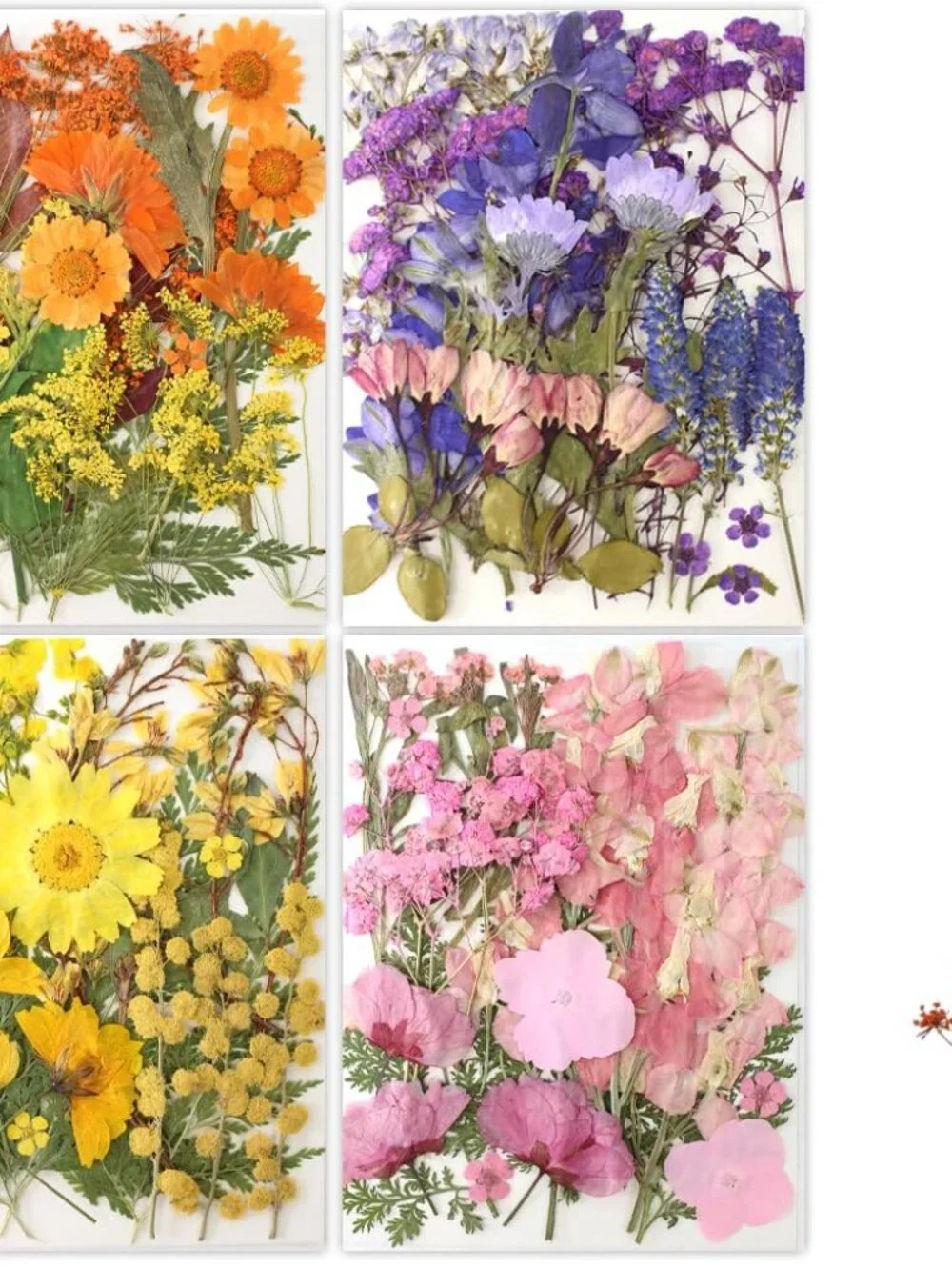 80Pcs Pressed Flowers, Dried Flowers Natural Pressed Flowers Bulk for Resin Mold